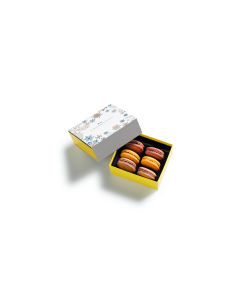 Macaron Gift Box 6 pieces