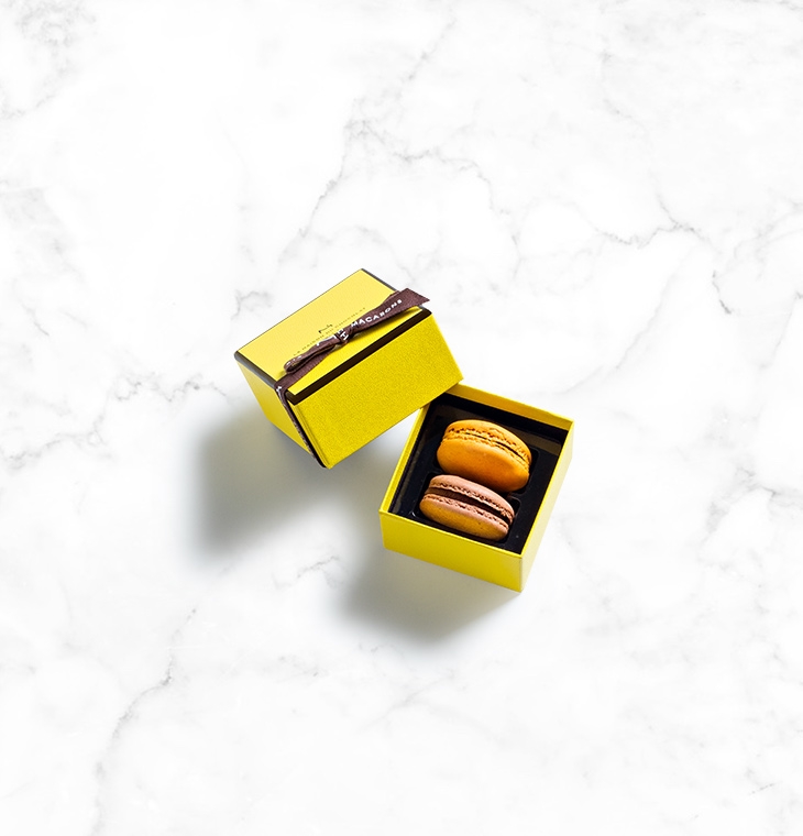 Macaron\u0020Gift\u0020Box\u00202\u0020pieces