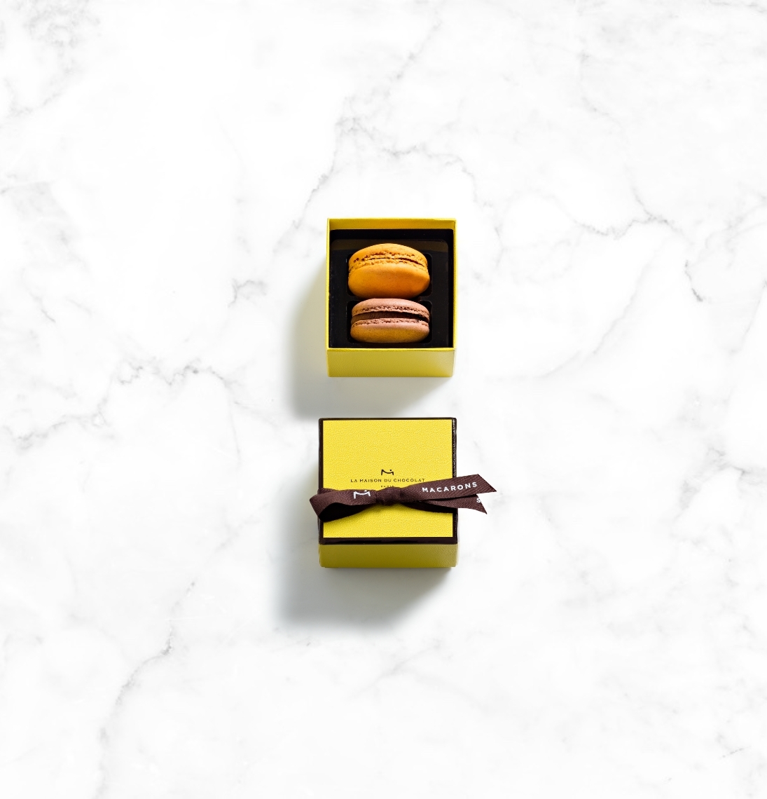 Chocolate Macaron Gift Box 2 Pieces - La Maison du Chocolat
