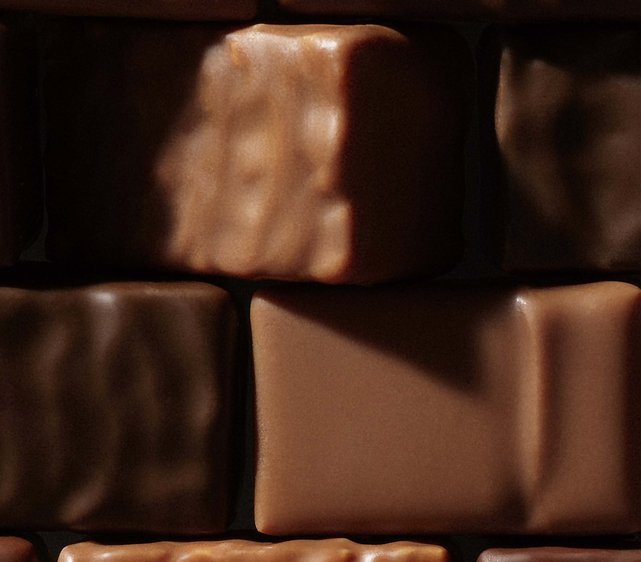 Chocolate Pralines