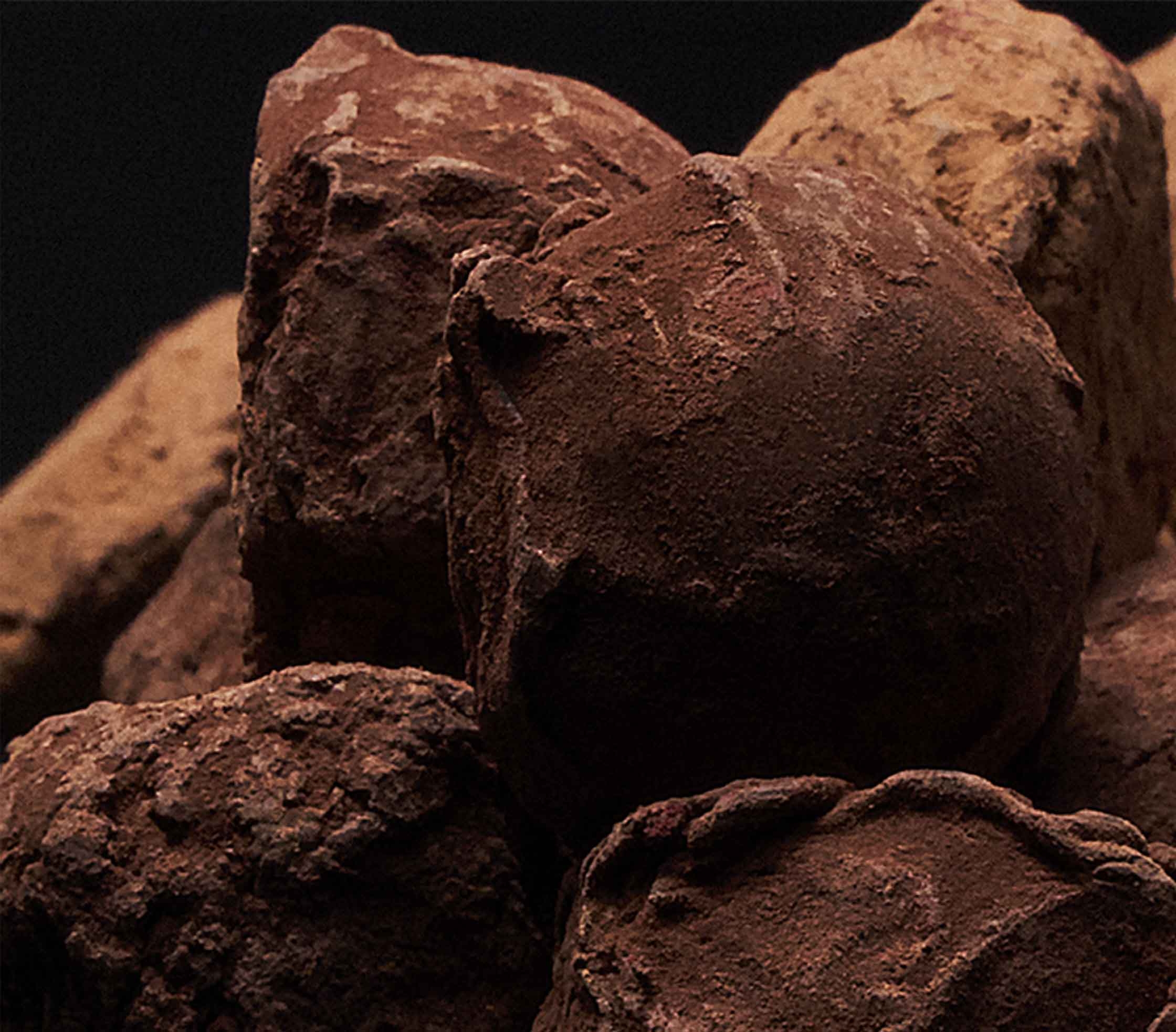 Elegant presentation of truffles
