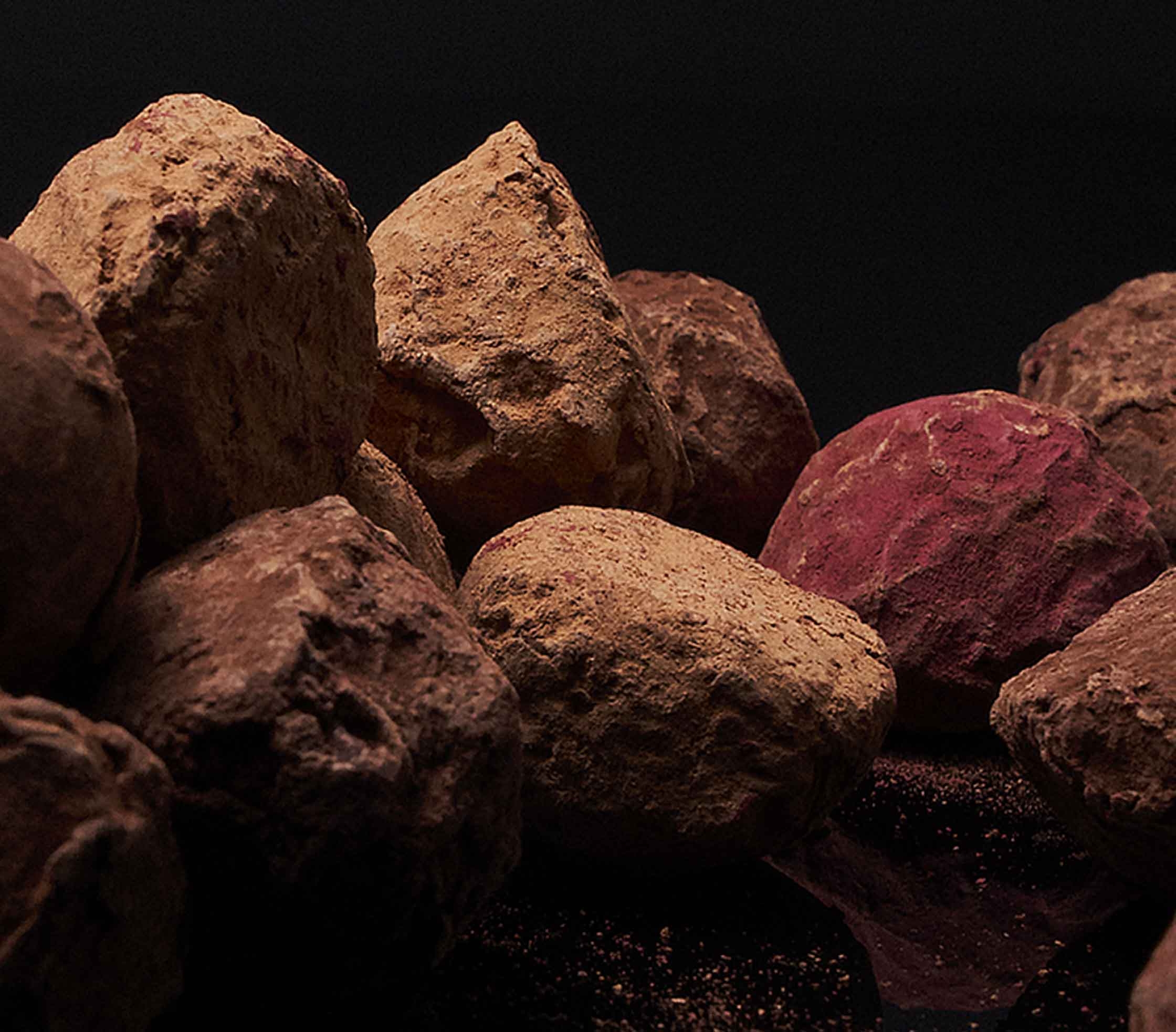 Mise en scène élégante des truffes

