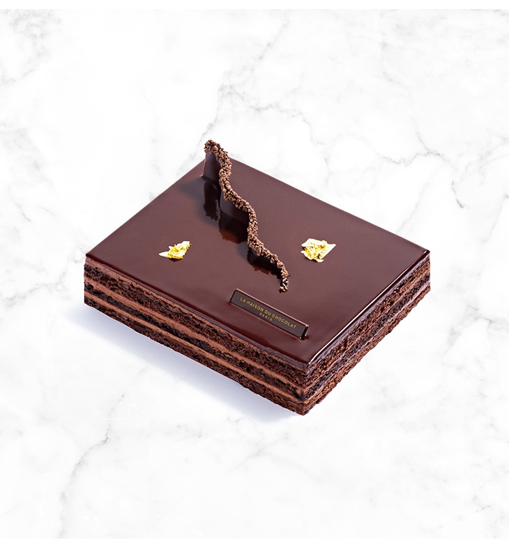 Entremets Delice Pur Chocolat 6 Pers La Maison Du Chocolat