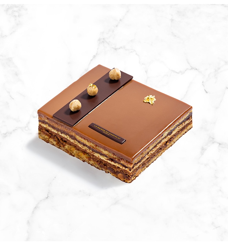 Praline Mousse Cake 6 Pers La Maison Du Chocolat