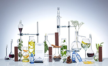 Collection Alchimie Gin
