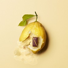 How to recognize good chocolate - La Maison du Chocolat