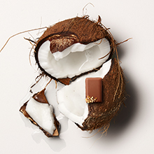 Pralin&eacute; Chocolate - La Maison du Chocolat