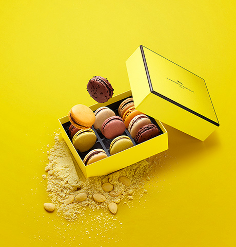 Idees Cadeaux Chocolat Anniversaire La Maison Du Chocolat Idees Cadeaux Chocolat Anniversaire La Maison Du Chocolat