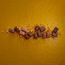 Chocolat Praliné - La Maison du Chocolat