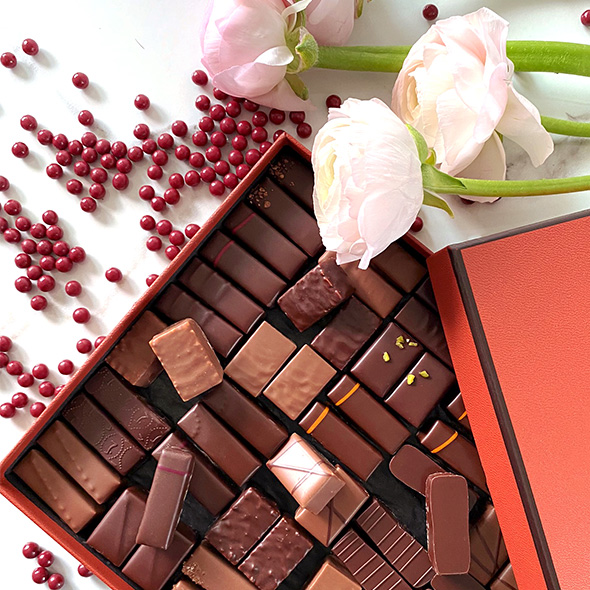 Plutôt ganache ou praliné?
